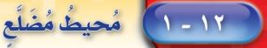 محيط مضلع
